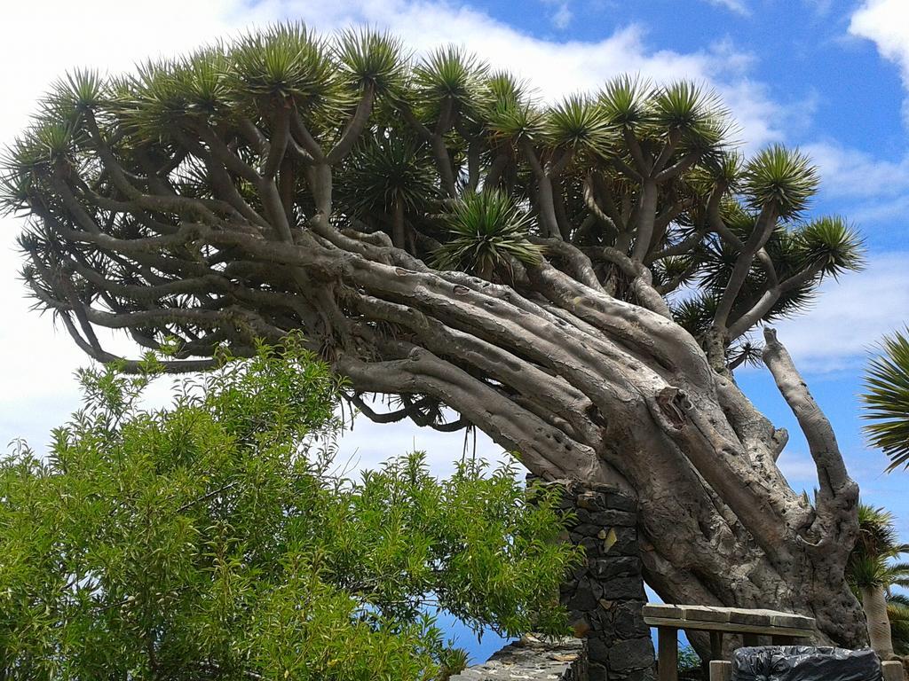 La Palmerita Vacacional Los Llanos De Aridane Exteriér fotografie