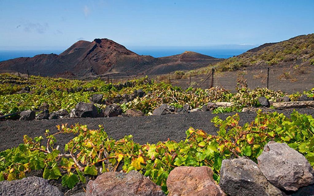La Palmerita Vacacional Los Llanos De Aridane Exteriér fotografie